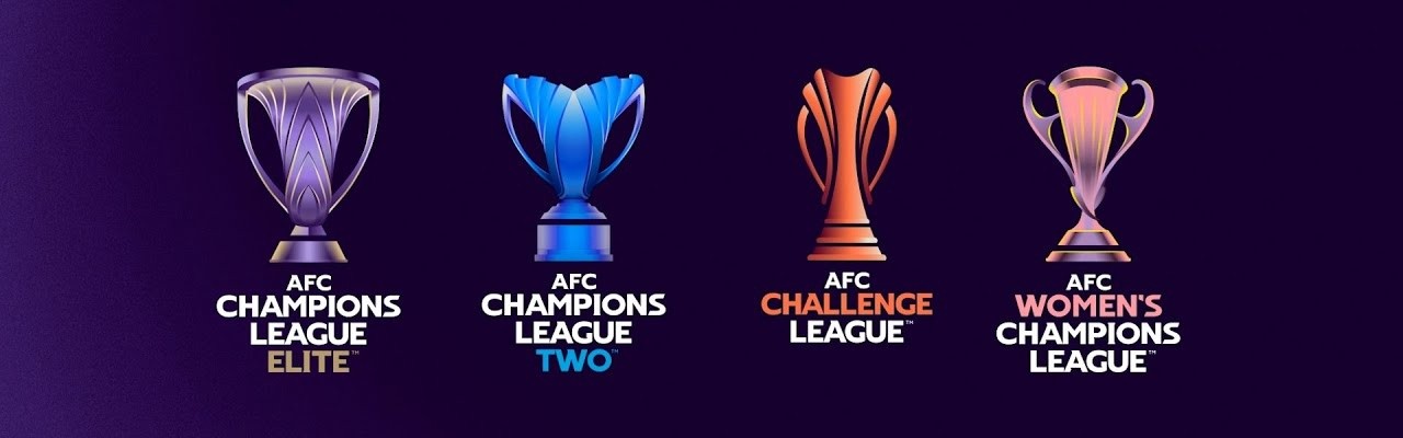 足协确认下赛季参加亚冠队伍：海港亚冠精英、国安亚冠精英附加赛